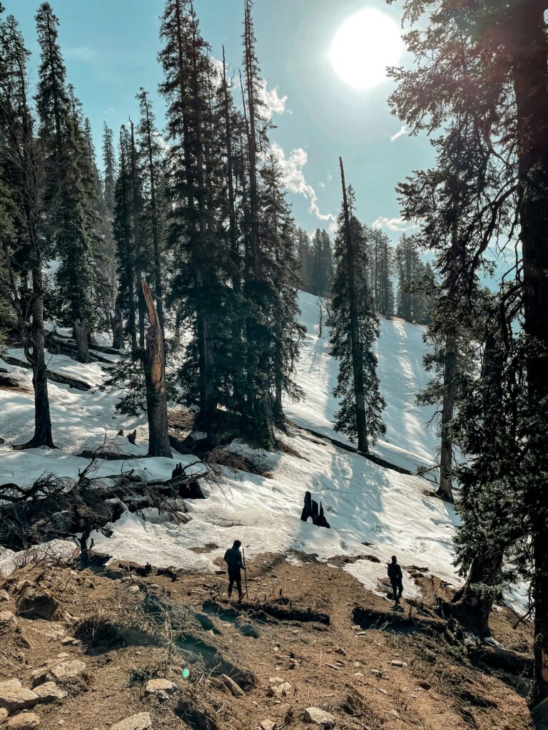 shahabas-mohammed-9sZATKdoKPM-unsplash