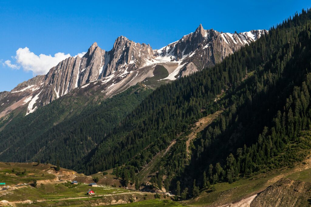 shubhojit-chatterjee-HBBH9beHlEI-unsplash